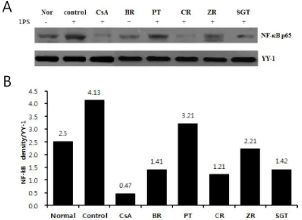 Fig.  5.  Effects  of  SGT  and  Individual  Herbs  on  ROS  Production  of  LPS  Induced  RAW264.7  Cells.