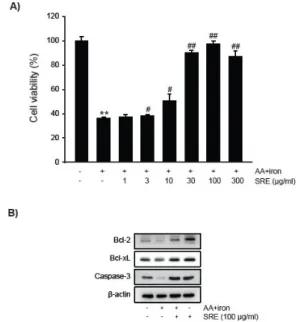 Fig.  1.  The  effect  of  Sparganii  Rhizoma  Extract  (SRE)  on  hepatocyte  viability