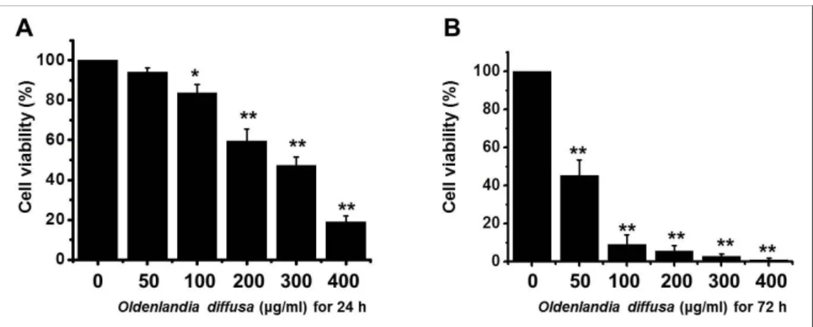 Fig. 1. Effect of Oldenlandia diffusa extract on cytotoxicity in WiDr cells. 