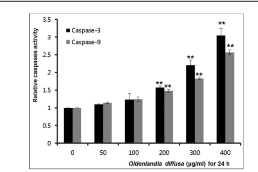 Fig. 4. Oldenlandia diffusa extract increases caspase 3 and 9 activities in WiDr cells