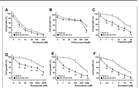 Fig. 5. Oldenlandia diffusa extract increases the chemosensitivity of WiDr cells.