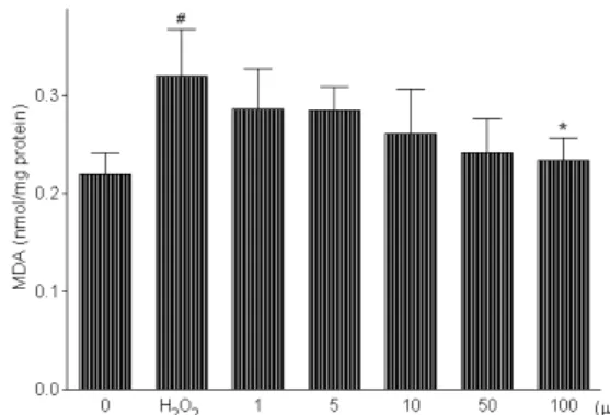 Fig. 2. Protective effect of water extract of Woogyuyeum  (WGY) on H 2 O 2 -induced cytotoxicity