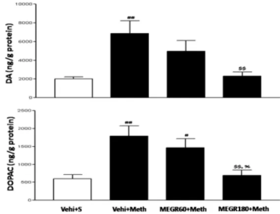 Figure 5. Effects of MEGR on acute Meth-induced changes  of accumbal DA and DOPAC concentrations
