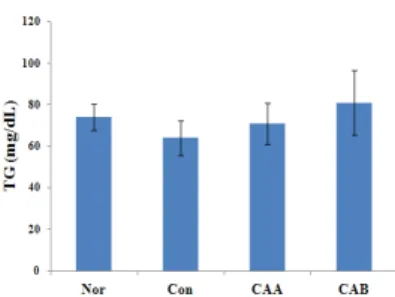 Figure 2B. Comparison of liver weight per 100g body  weight from 9 weeks groups.
