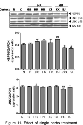Figure  11.  Effect  of  single  herbs  treatment  on protein expression in cortex.