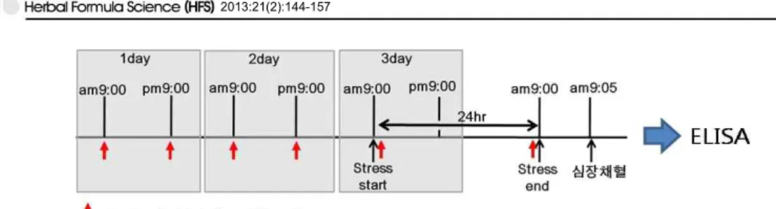 Figure 5. Execution process of experiment.