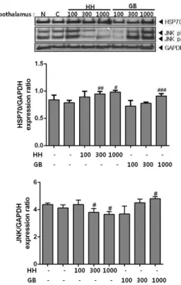 Figure  8.  Effect  of  HH  and  GB  treatment  on  protein expression in hypothalamus.