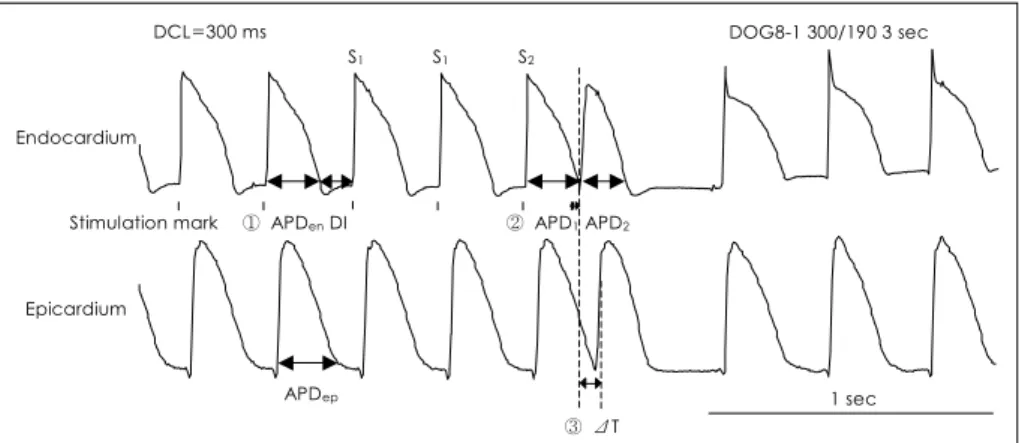 Table 1.  Hemodynamic changes during autonomic stimulation 
