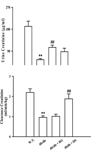Fig.  4.  Effect  of  the  DST  on  urine  creatinine,  and  creatinine  clearance level of db/db mice fed with HFHC diet