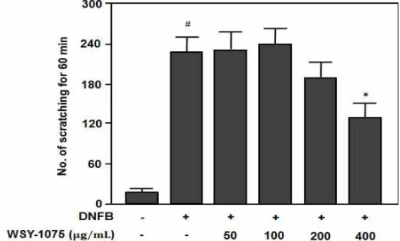 Fig. 2. The antipruritic effect of WSY-1075 on the scratching behavior induced by DNFB in Balb/c mice