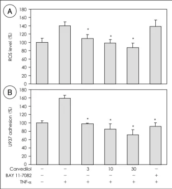 Fig. 2.  A: The effect of carvedilol on the intracellular ROS level in TNF-α-activated HUVEC