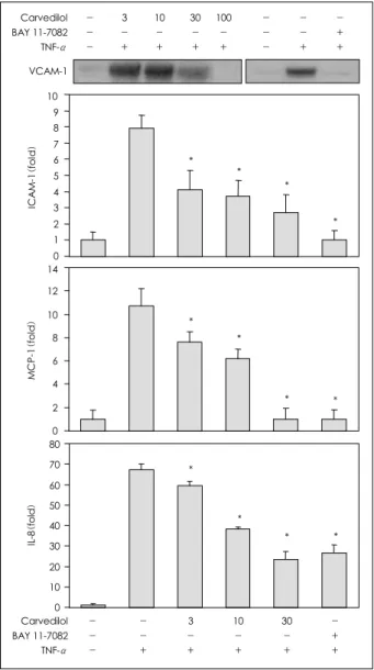 Fig. 4.  The whole cell lysates were prepared 16 hours after stimu- stimu-lation, separated on SDS-PAGE, transferred to a PVDF membrane, and immunoblotted with an anti-VCAM-1 antibody