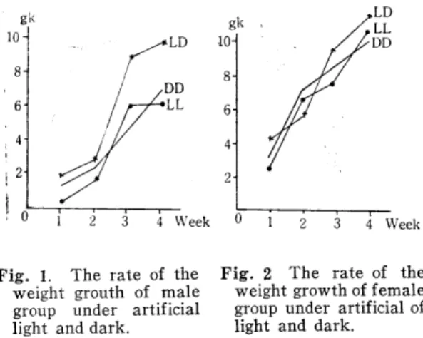 Fig.  1.  The  rate  of  the  weight  grouth  of  male  group  under  artificial  light  and dark