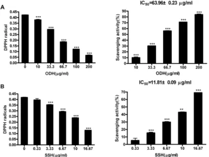 Fig. 1. Scavenging activities of ODH and SSH methanol extracts on DPPH radicals.