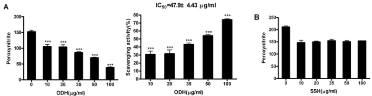 Fig. 4. Scavenging activities of ODH and SSH methanol extracts on peroxynitrite.
