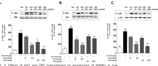 Fig. 3. Effects of HHT and GBT pretreatment on expressions of MAPKs in liver. 