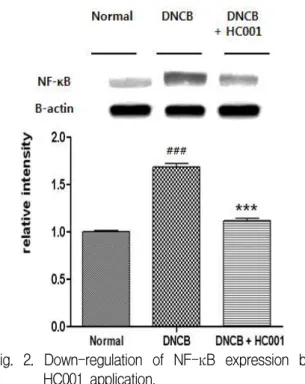 Fig. 2. Down-regulation of NF-κB expression by HC001 application.
