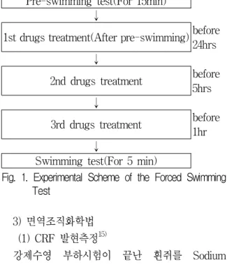 Fig. 1. Experimental Scheme of the Forced Swimming Test