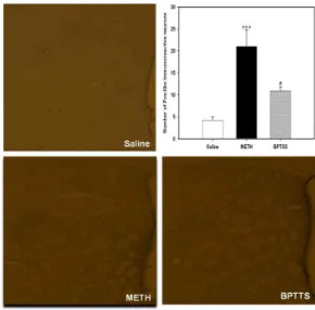Fig. 3. Effect of BPTSS on acute methamphetamine -induced locomotor activity in C57BL/6.