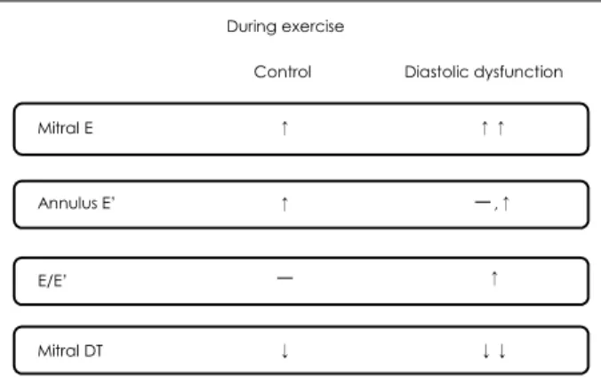 Fig. 8.  Changes of the mitral inflow E and mitral annular E’ velocities for diastolic dysfunction during exercise