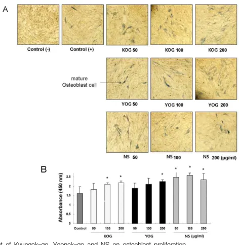 Fig. 2. Effect of Kyungok-go, Yeonok-go and NS on osteoblast proliferation.