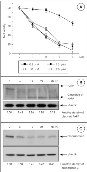 Figure 1. Adriamycin induces apoptosis in H9c2. A: H9c2 cells were treated with various concentrations of  adria-mycin for the indicated times, and cell viability was measured by MTT assay