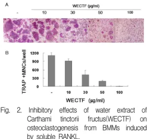 Fig. 1. Inhibitory effects of water extract of Cervi parvum cornu(WECPC) on osteoclastogenesis from BMMs induced by soluble RANKL.
