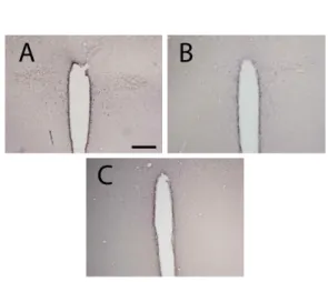 Fig. 2. Effect of Lycii Radicis Cortex in Forced Swimming Test