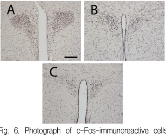 Fig. 7. ACTH concentration in Serum