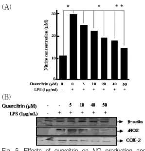Fig. 6. Effects of afzelin on NO production and i NOS protein expression in RAW 264.7 Cells.