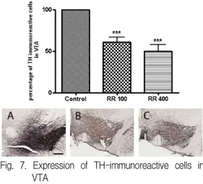 Fig. 6. Expression of TH-immunoreactive cells in LC Control(A) : Saline and the Forced Swimming Test RR100(B) : Rehmanniae Radix(100 mg/kg) and the Forced Swimming Test group