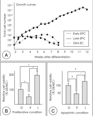 Fig. 2. Differences in proliferating or survival potential among three kinds of cells, early, late EPC, and mature endothelial cell