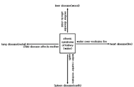 Fig.  7.  The  sthenic  syndrome  of  the  kidney  can  be  transmitted  to  other  four  viscera.