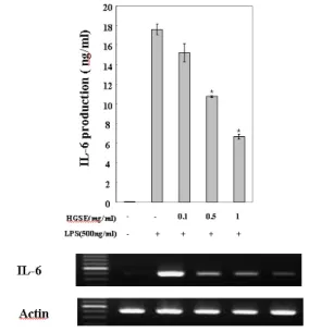 Fig.  4.  The  effect  of  HGSE  on  the  production  of  IL-6  in  peritoneal  macrophages  stimulated  with  LPS.