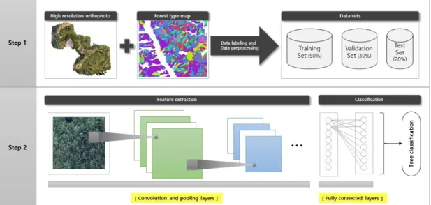 FIGURE 2. The flowchart of  deep learning-based tree species classification  model  training