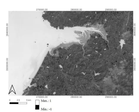 FIGURE 3. NDWI  image generated by using Green/NIR bands of the  given Sentinel-2 satellite  image