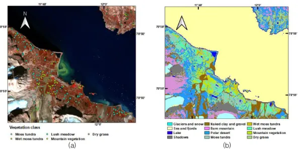 FIGURE 8. Distribution of  the vegetation  reference data  set and classification results (a)  5-class  vegetation  reference data set (b) land  cover  and  vegetation  classification map