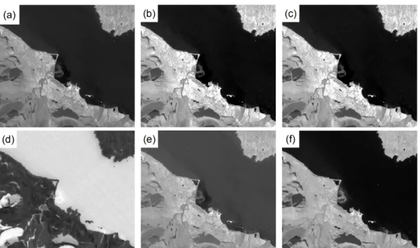 FIGURE 4. Spectral  index ratio  image of  Sentinel-2