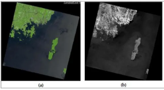 FIGURE 5. Image of  Landsat  8  Satellite 