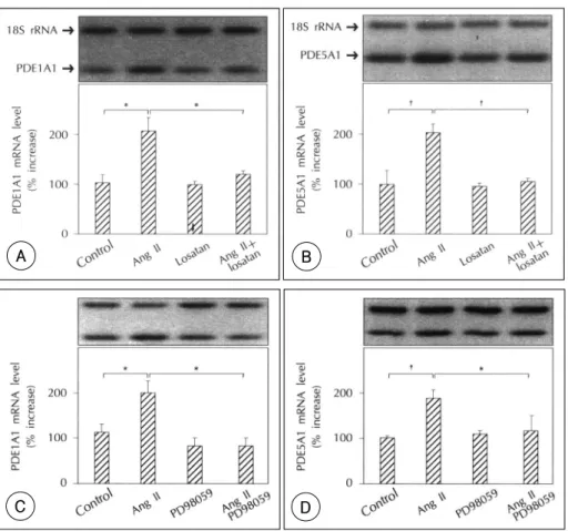 Fig. 3. Roles of AT1 receptor and MAPK on Ang II-induced PDE1A1 and PDE5A1 mRNA expression