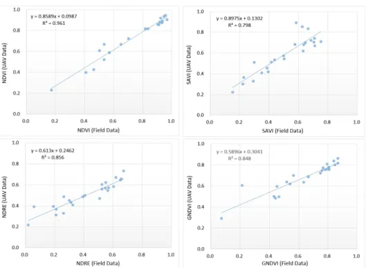 FIGURE  6.  Result  of  regression  analysis  between  the  1st  field  surveyed  vegetation  index  and  UAV  vegetation  index