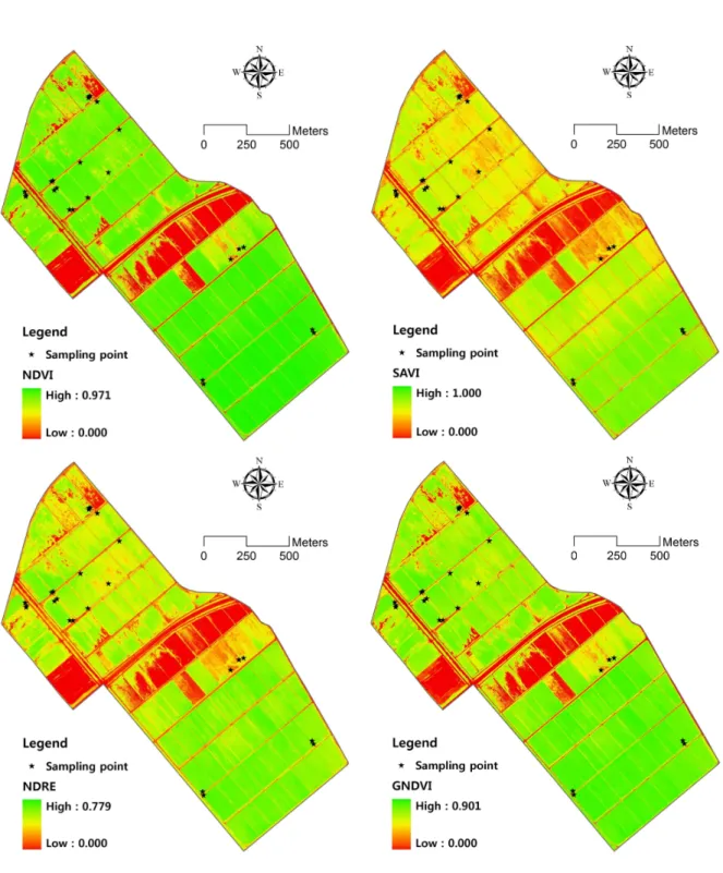 FIGURE 2. Vegetation indices calculated by multispectral image obtained by UAV (1st field survey)