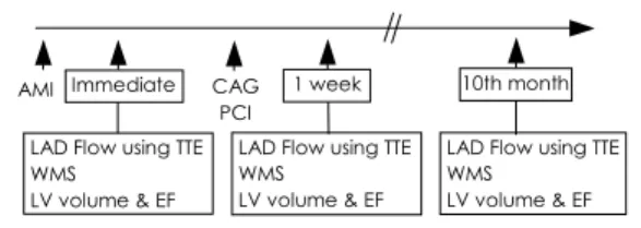 Fig. 1. Study protocol. AMI：acute anterior myocardial infarction, LAD：left anterior descending coronary artery, WMS：wall motion score, EF：ejection fraction, CAG：
