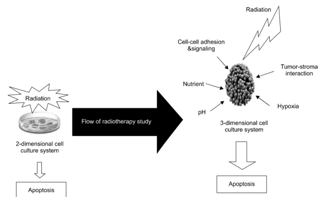 Fig. 2.  Benefits  of  the  3-dimensional  cell  culture  system  including  radiotherapy