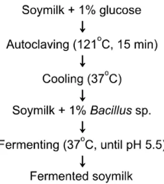 Fig. 1.  The diagram of Bacillus  sp.-fermented soymilk pre-pre-스템이 존재한다.11,12)  최근 들어 산화적 스트레스가 다양한 질환의 원인이 되고 있음이 밝혀져 이를 개선시킬 수 있는 항산화제에 대한 연구가 많은 관심을 끌고 있는데 특히 식품을 통해 섭취하는 천연 항산화제가 유해성은 적으면서 효과적인 것으로 여겨지고 있다.13,14)    청국장은 콩으로부터 유래되고 발효과정 중에 생성되는 각종 생리활