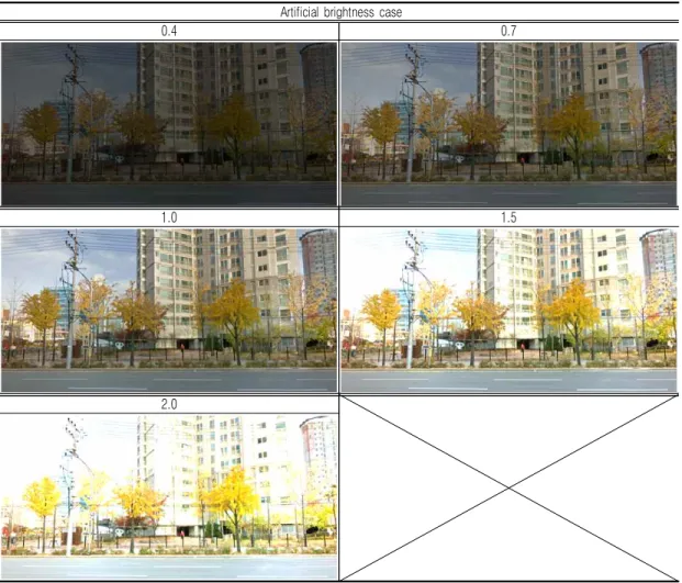 TABLE  1.  Brightness  images  by  ratio