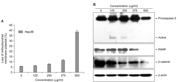 Fig. 2. The loss of mitochondrial membrane potentials (MMP, ΔΨ m )  and  caspase-3  activation  induced  by  AIMs  in  Hep3B  cells