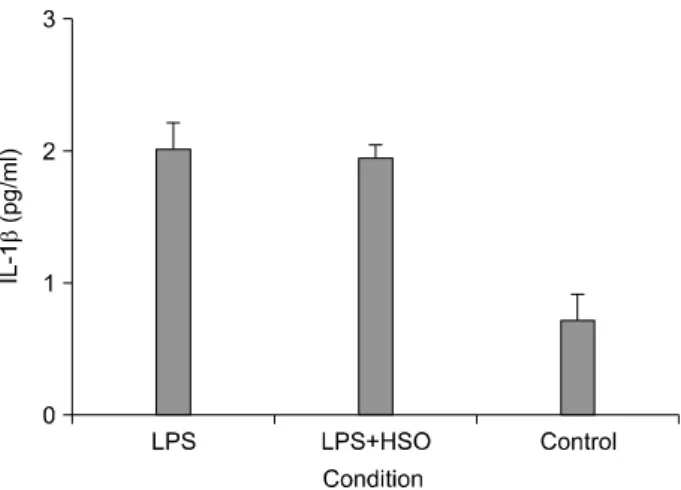 Fig. 3.  Production  of  IL-1β by  mice  splenocytes  exposed  to  harp  seal oil  (HSO)