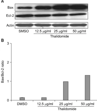 Fig. 2.  Thalidomide  induced  BxPC-3  cell  apoptosis:  the  BxPc-  3  cells  were  cultured  in  medium  alone  (plus  DMSO)  or  were  incubated  with  different  concentrations  of  thalidomide  (12.5  μg/ml,  25  μg/ml,  50  μg/ml)  for  24  hours  an