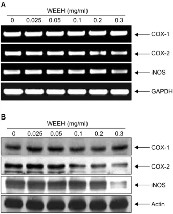 Fig. 3. Effects  of  WEEH  on  the  levels  of  COX-1,  COX-2  and  iNOS  expression  in Hep3B  human  hepatocarcinoma  cells